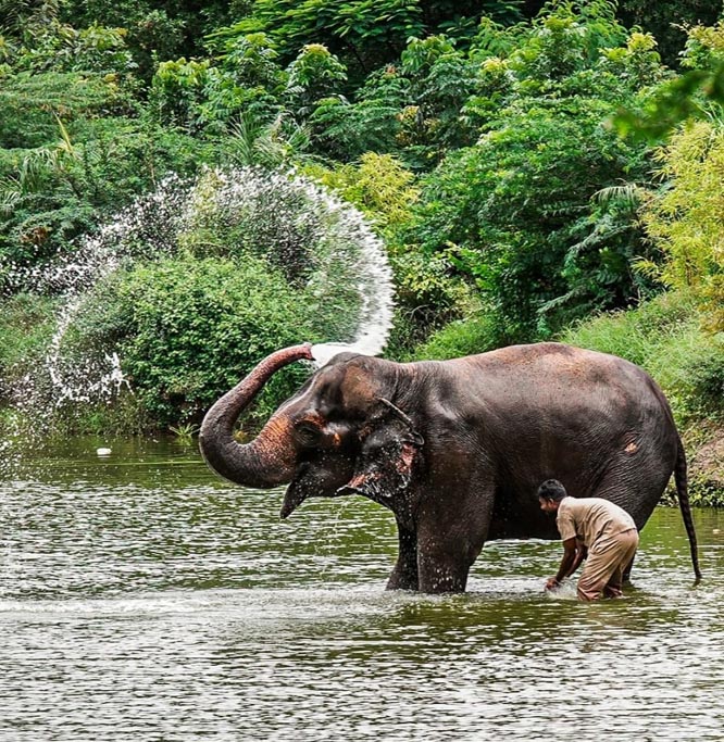 1754569548 Untitled 5 copy